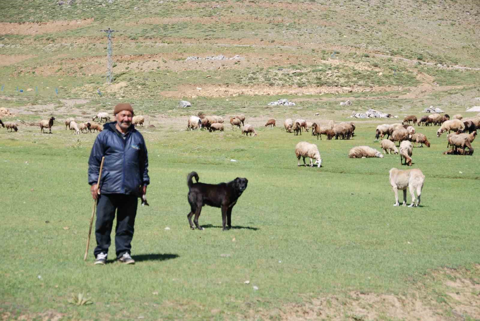 Antalya’da Yörüklerin yayla serüveni başladı
