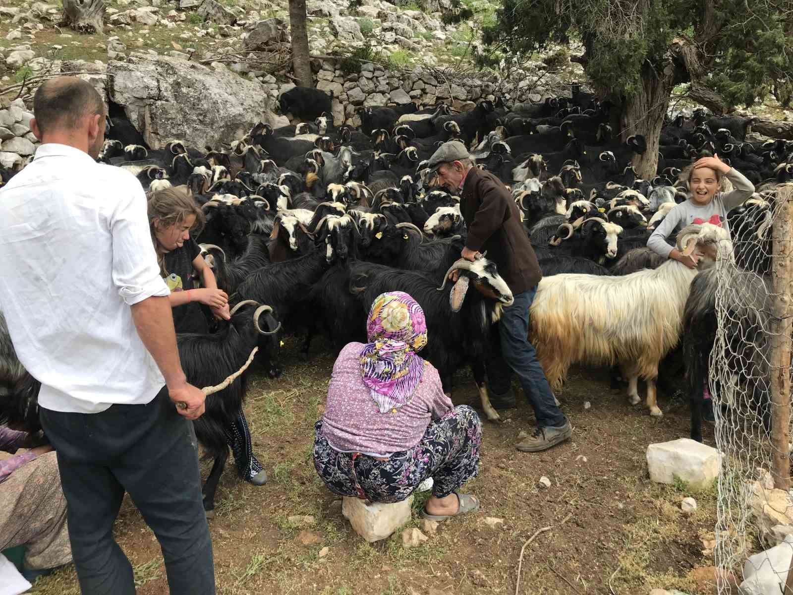 Antalya’da Yörüklerin yayla serüveni başladı
