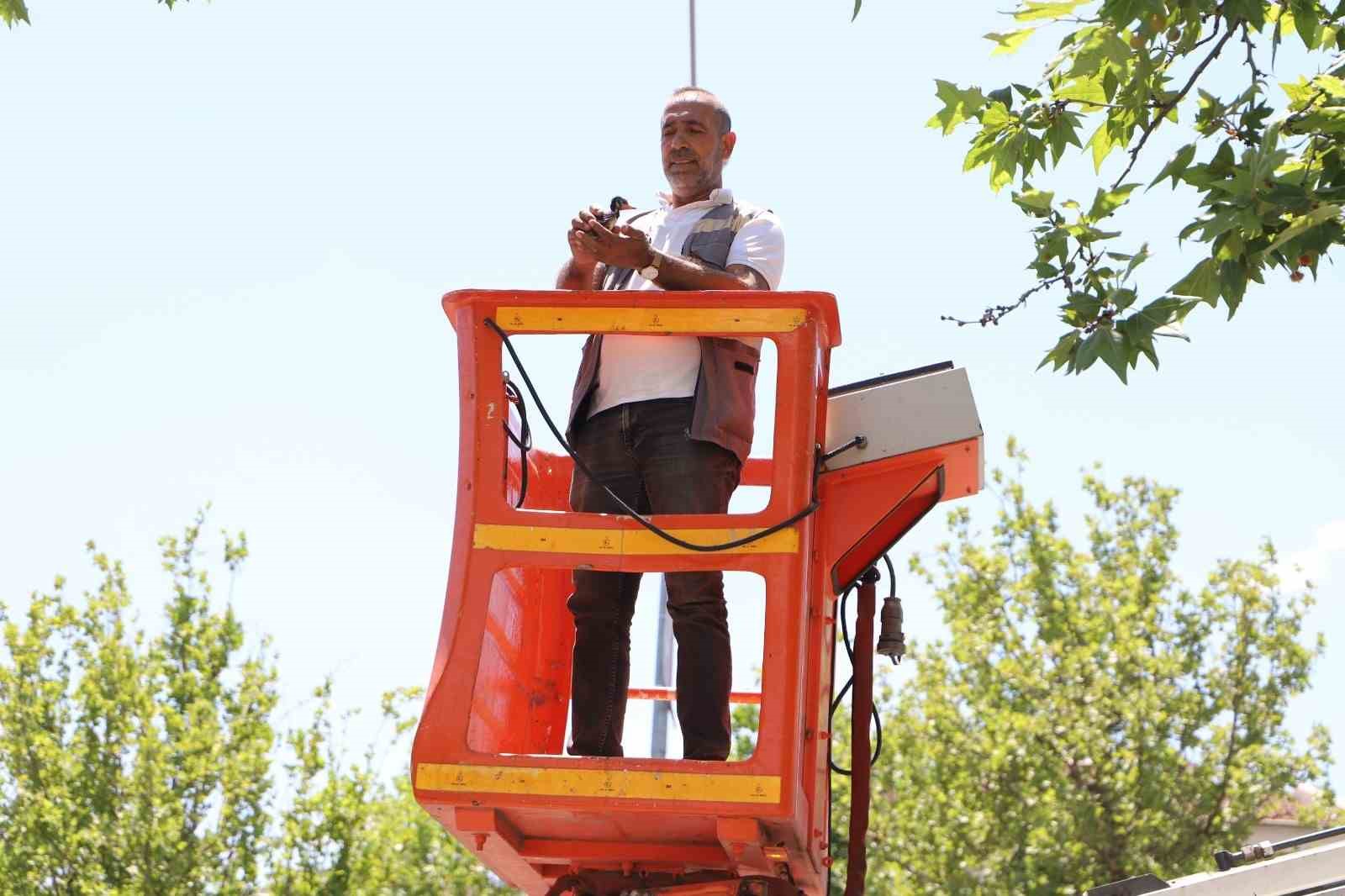 Belediye ekipleri yavru kargayı yuvasına bıraktı
