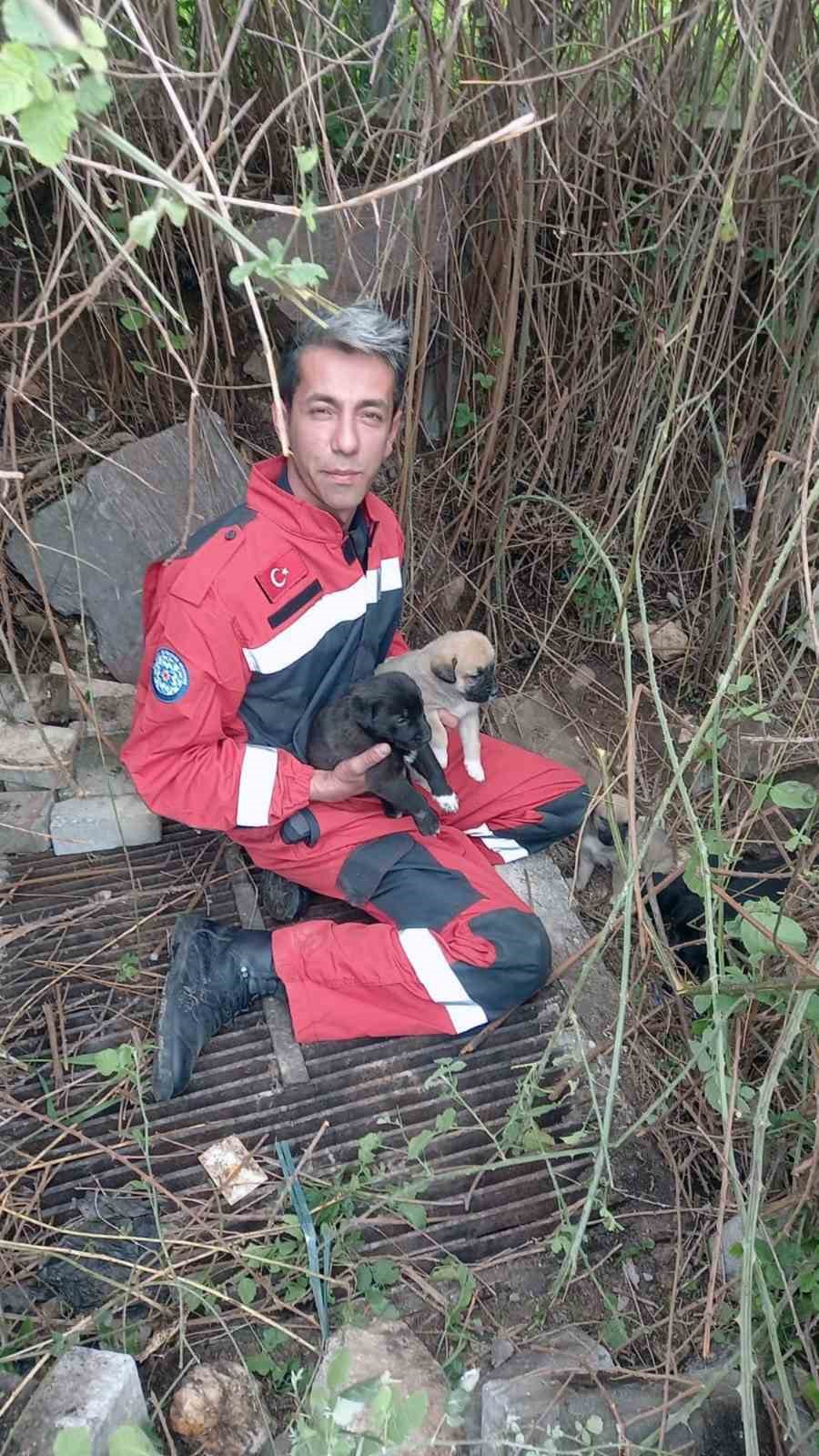 Muğla Büyükşehir İtfaiyesi 5 ayda 296 hayvanı kurtardı
