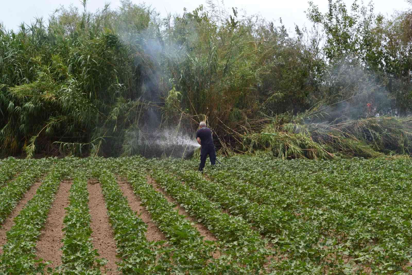 Antalya’da çıkan yangın ağaçlara sıçradı, vatandaş korkuya kapıldı
