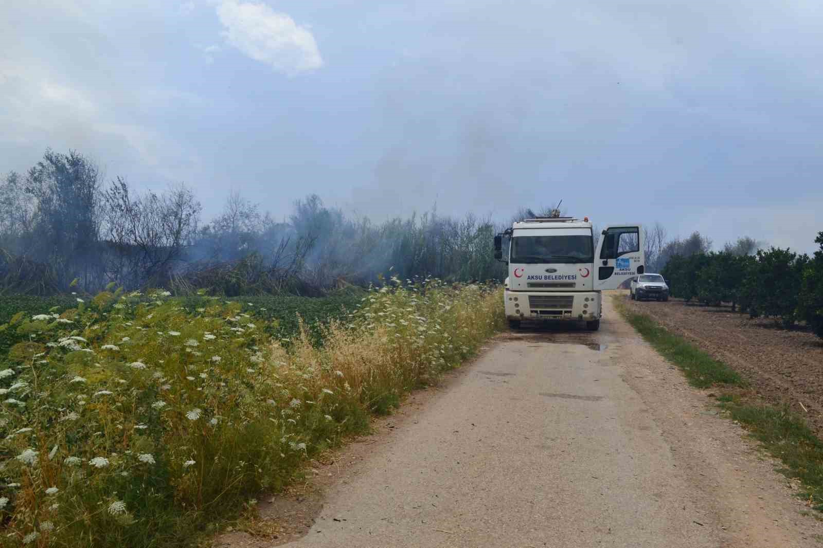 Antalya’da çıkan yangın ağaçlara sıçradı, vatandaş korkuya kapıldı
