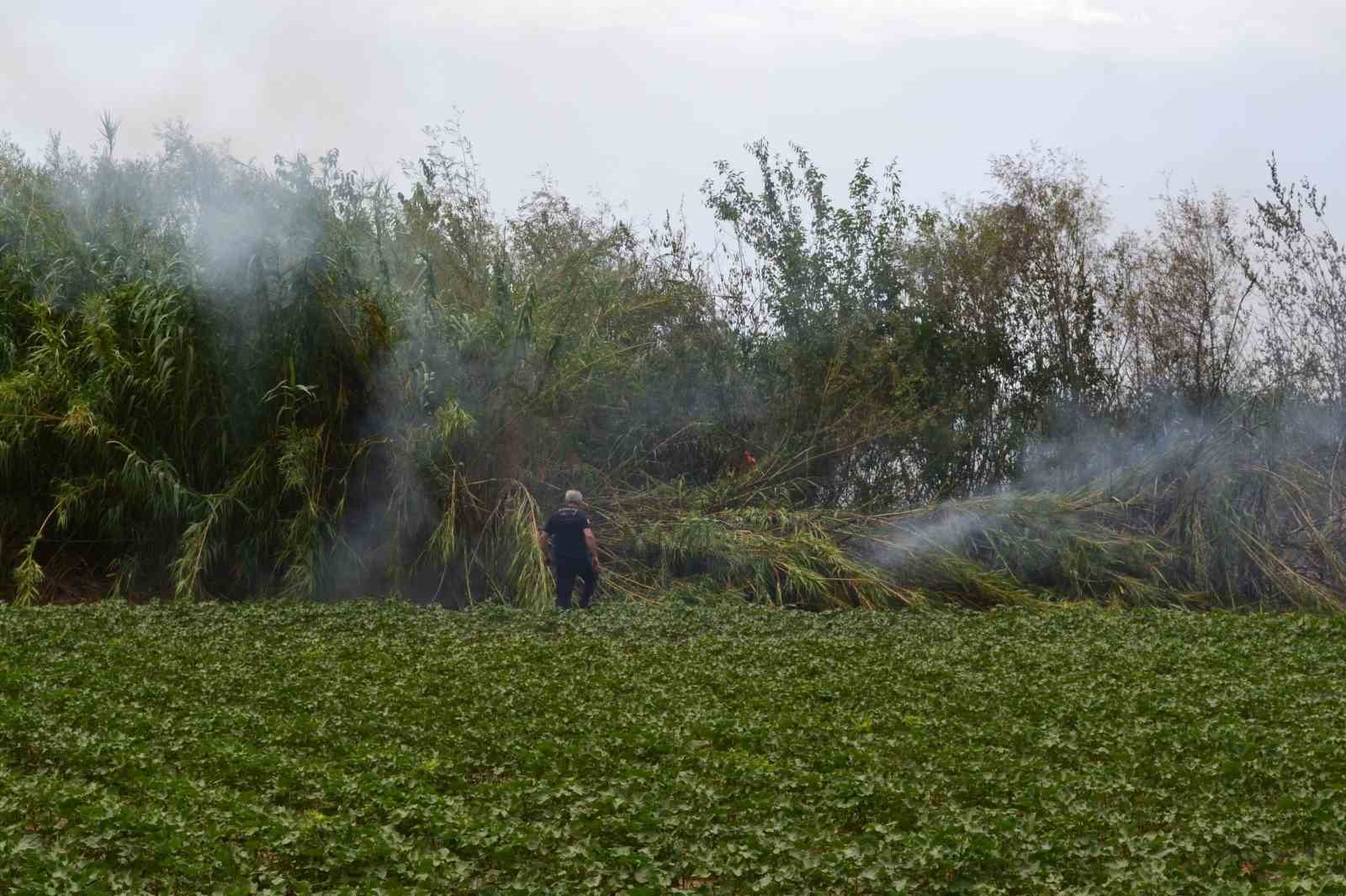 Antalya’da çıkan yangın ağaçlara sıçradı, vatandaş korkuya kapıldı
