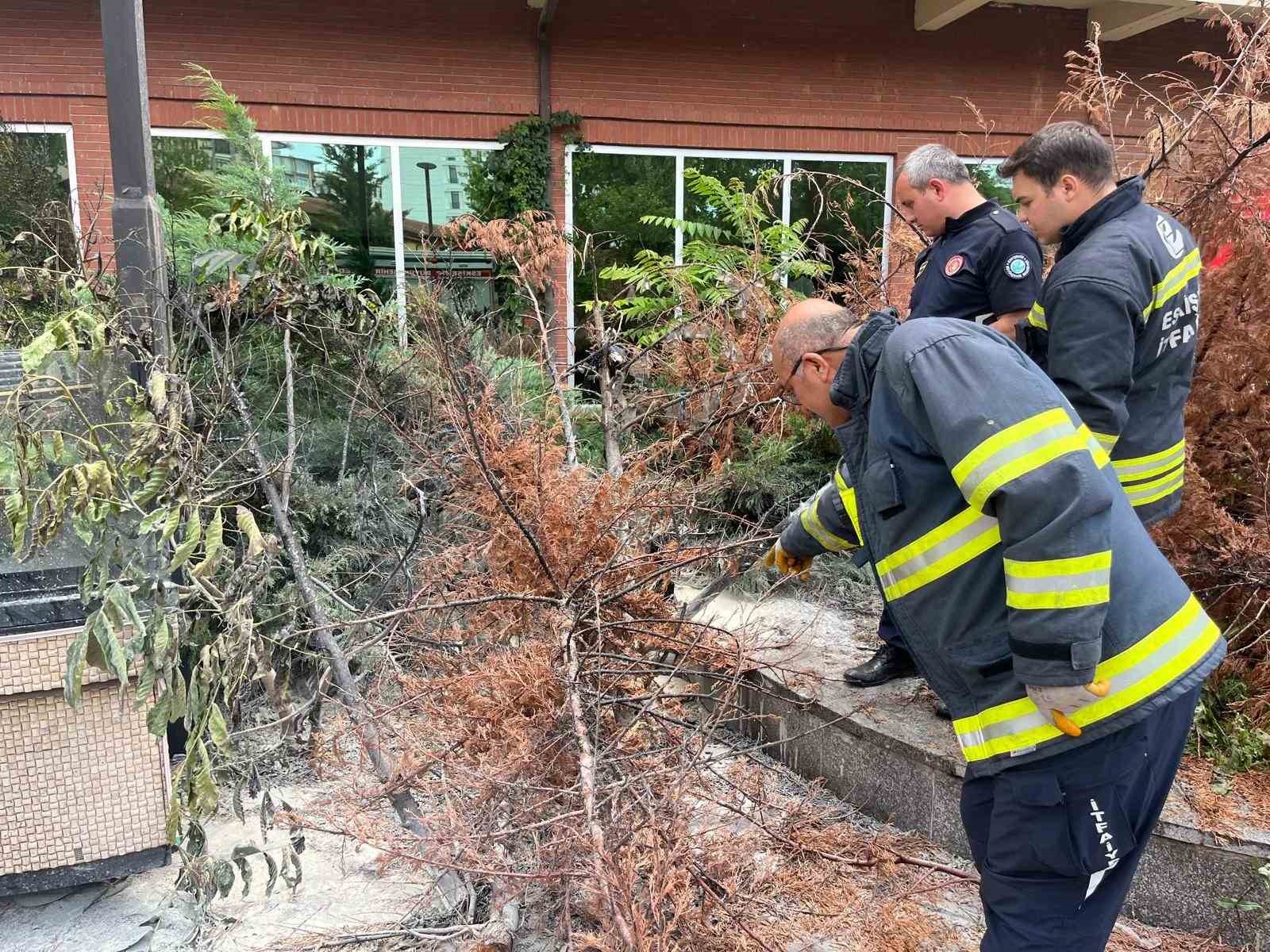 Eskişehir’de sokak lambasından kaynaklı yangın paniğe neden oldu
