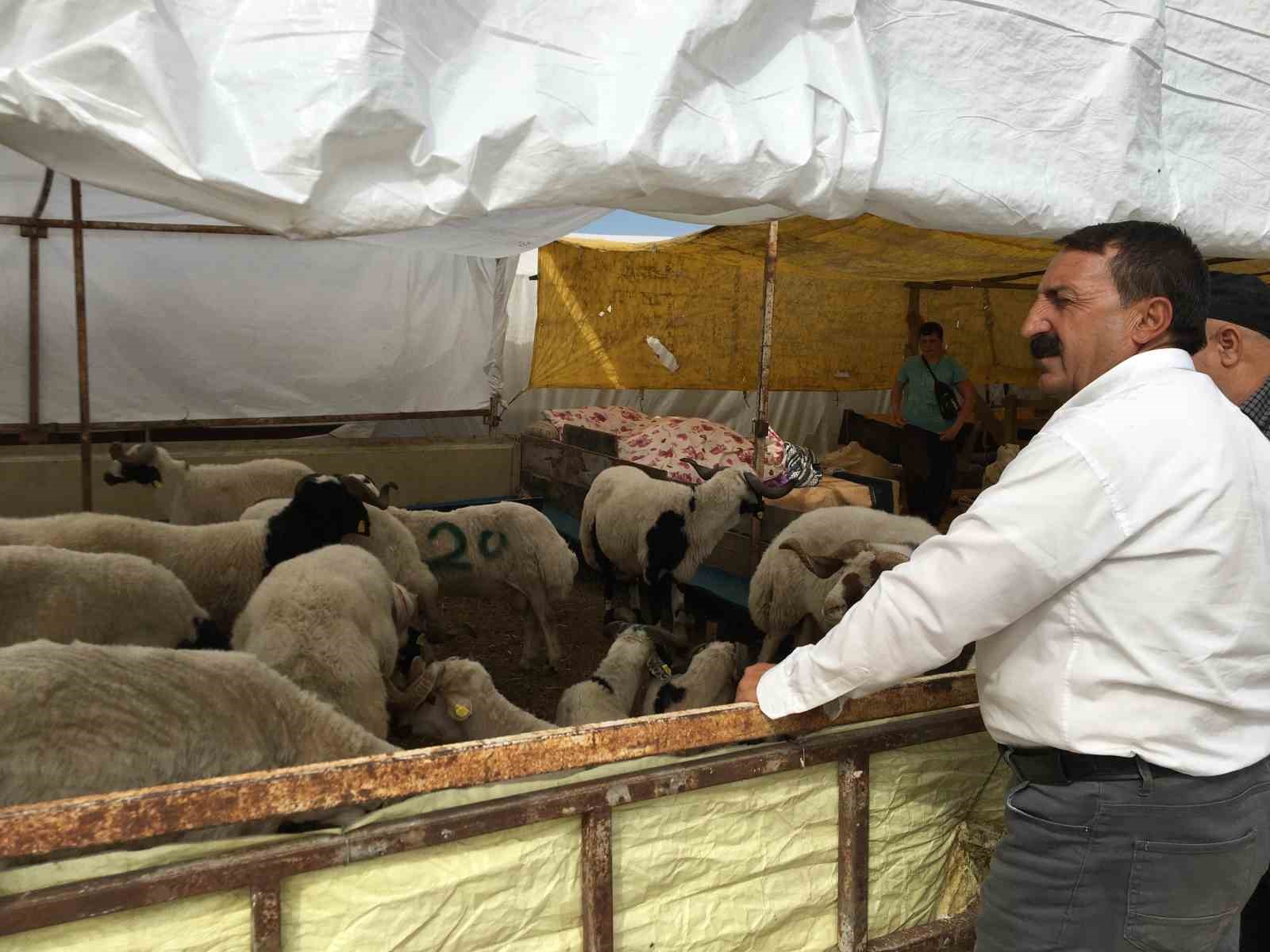 Kocaeli’de kurbanlıkların yarısı satıldı
