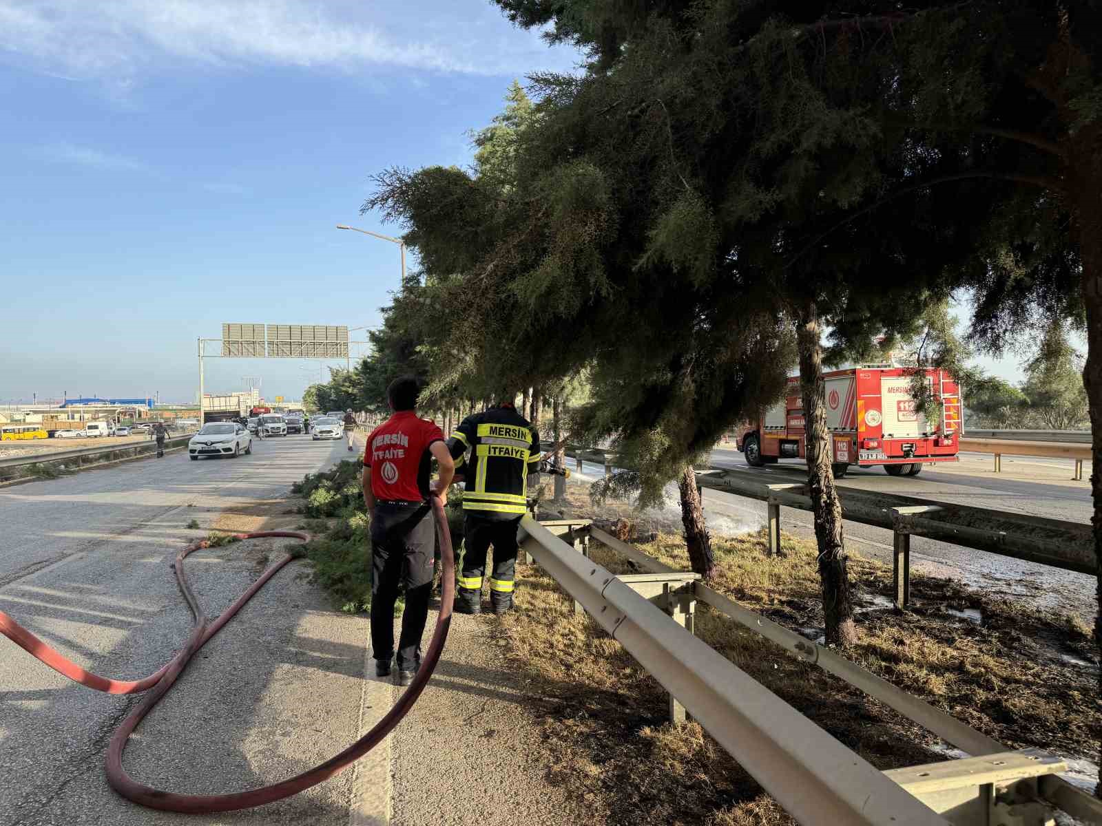 Mersin’de refüjdeki ağaçlar yandı
