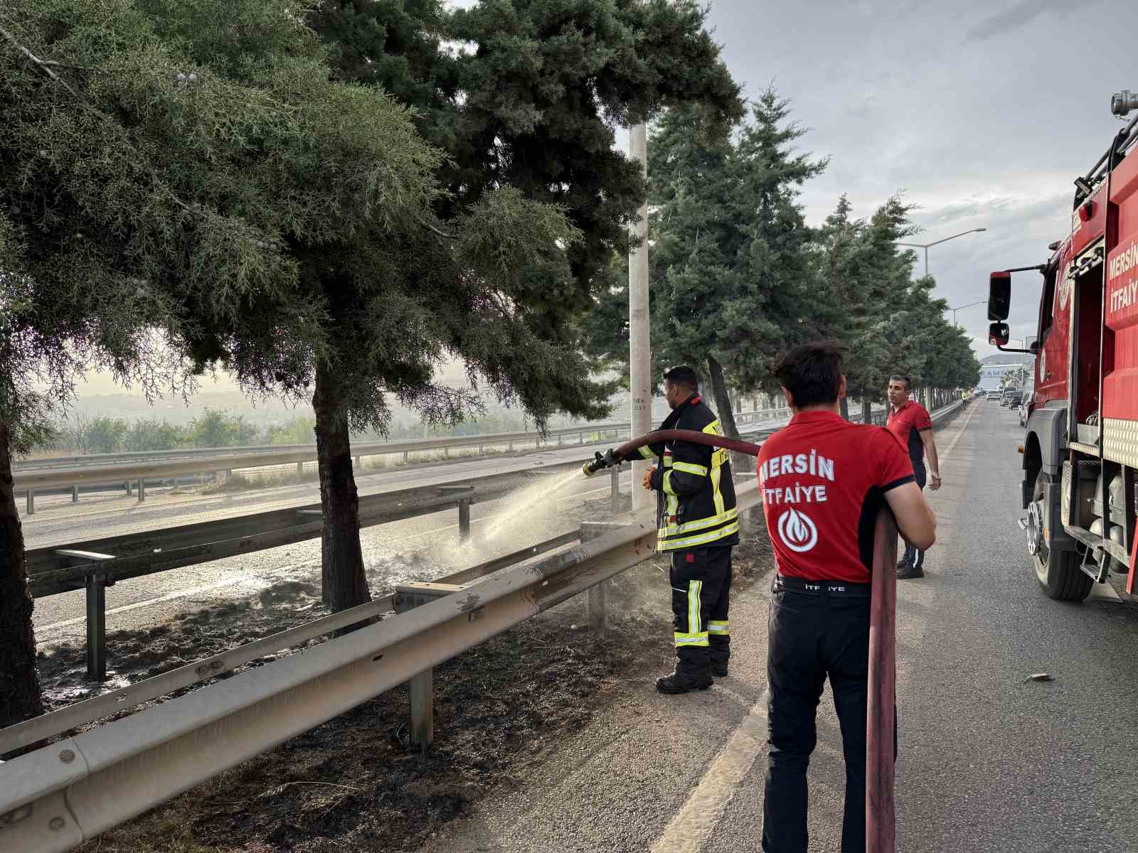 Mersin’de refüjdeki ağaçlar yandı
