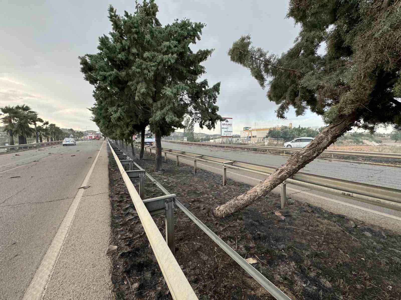 Mersin’de refüjdeki ağaçlar yandı
