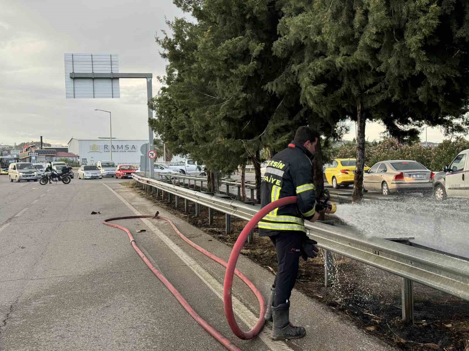 Mersin’de refüjdeki ağaçlar yandı
