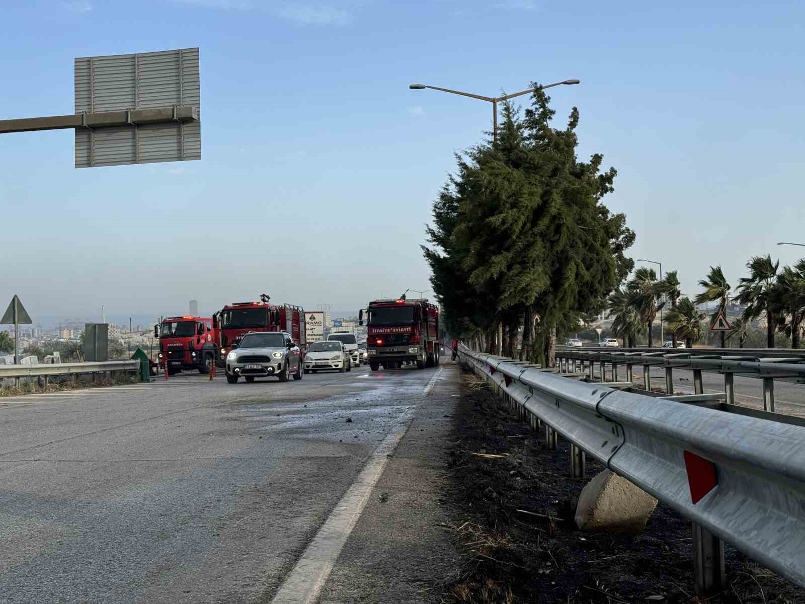 Mersin’de refüjdeki ağaçlar yandı
