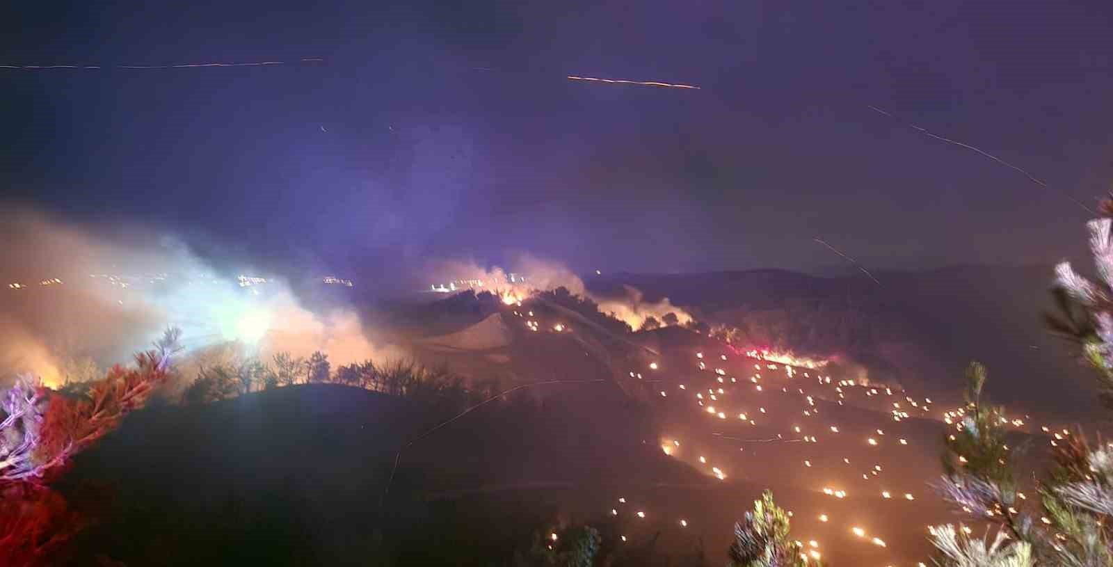 Adana’da orman yangını
