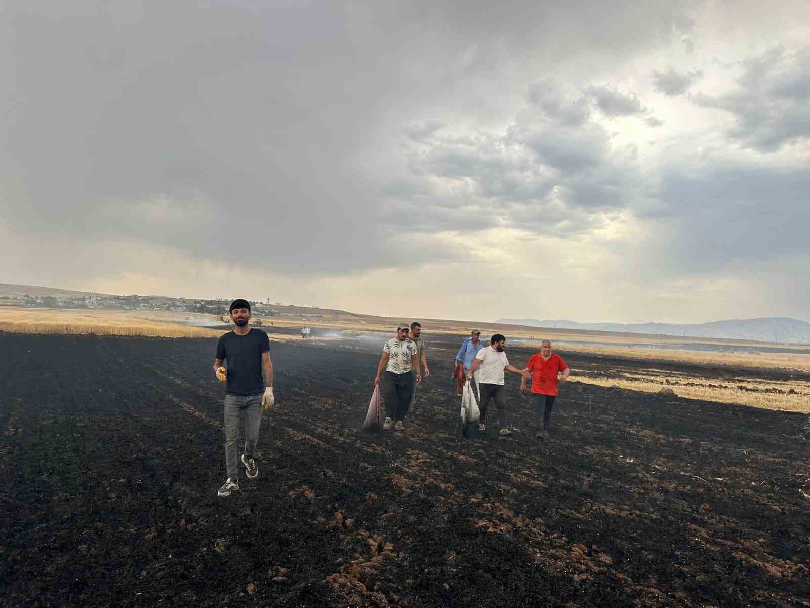 Cizre’de düşen yıldırımlar yangına neden oldu, 360 dönüm buğday küle döndü
