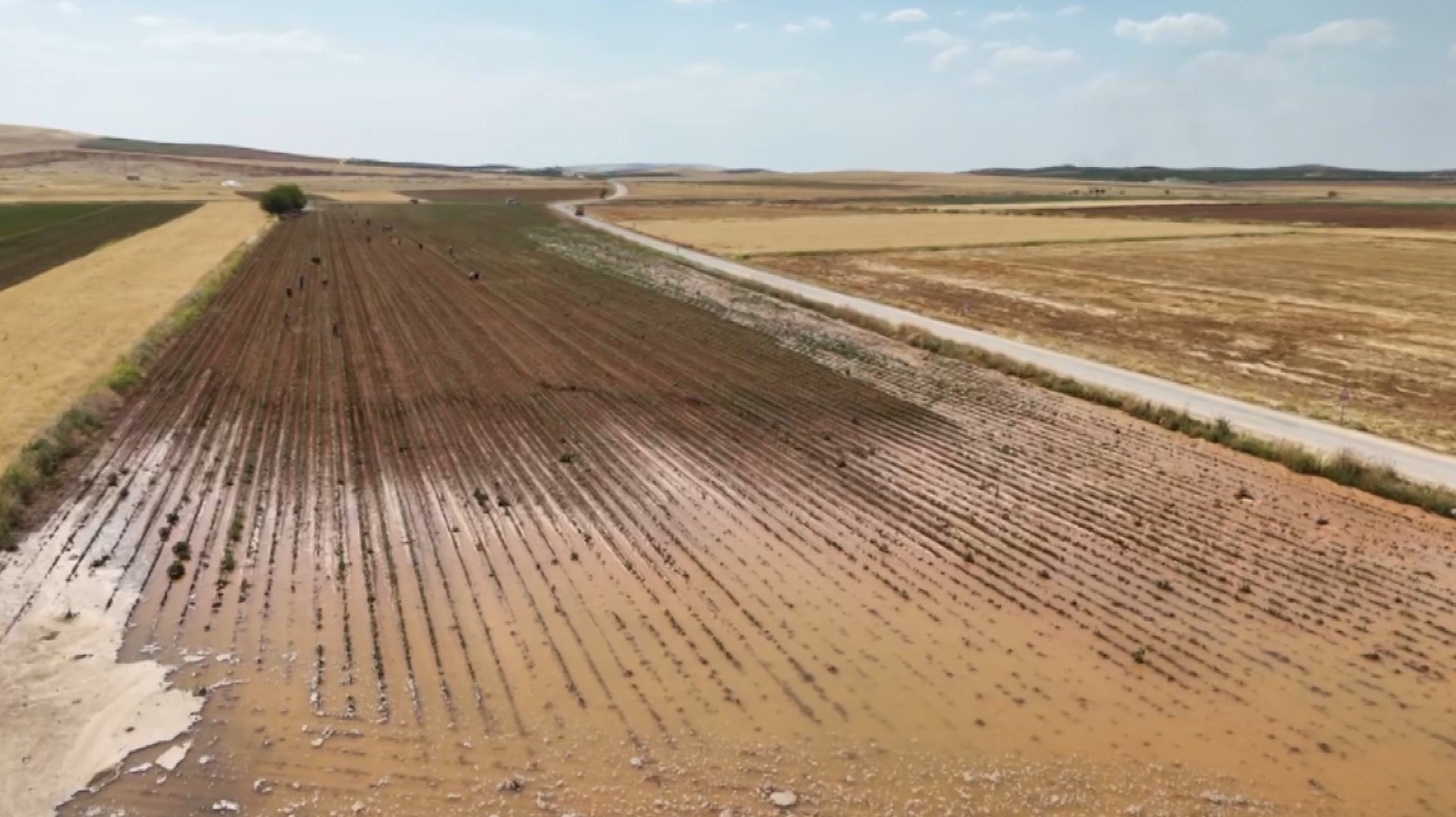 Su küpünün patlamasıyla pamuk tarlası sular altında kaldı
