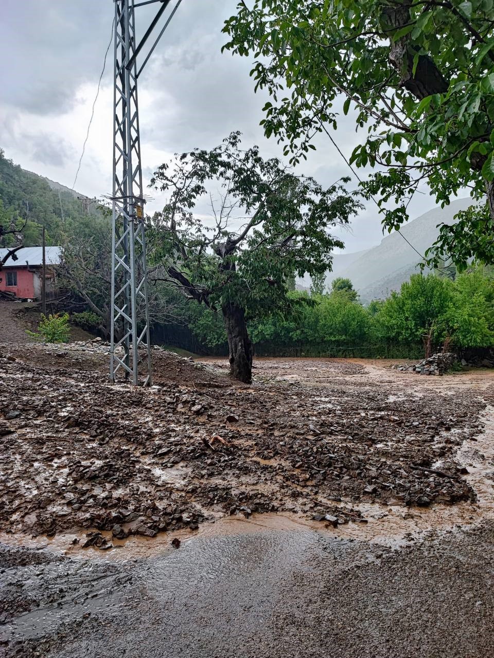 Adana’da fındık büyüklüğünde dolu yağışı ekili alanları vurdu, yollarda taşkın oluştu
