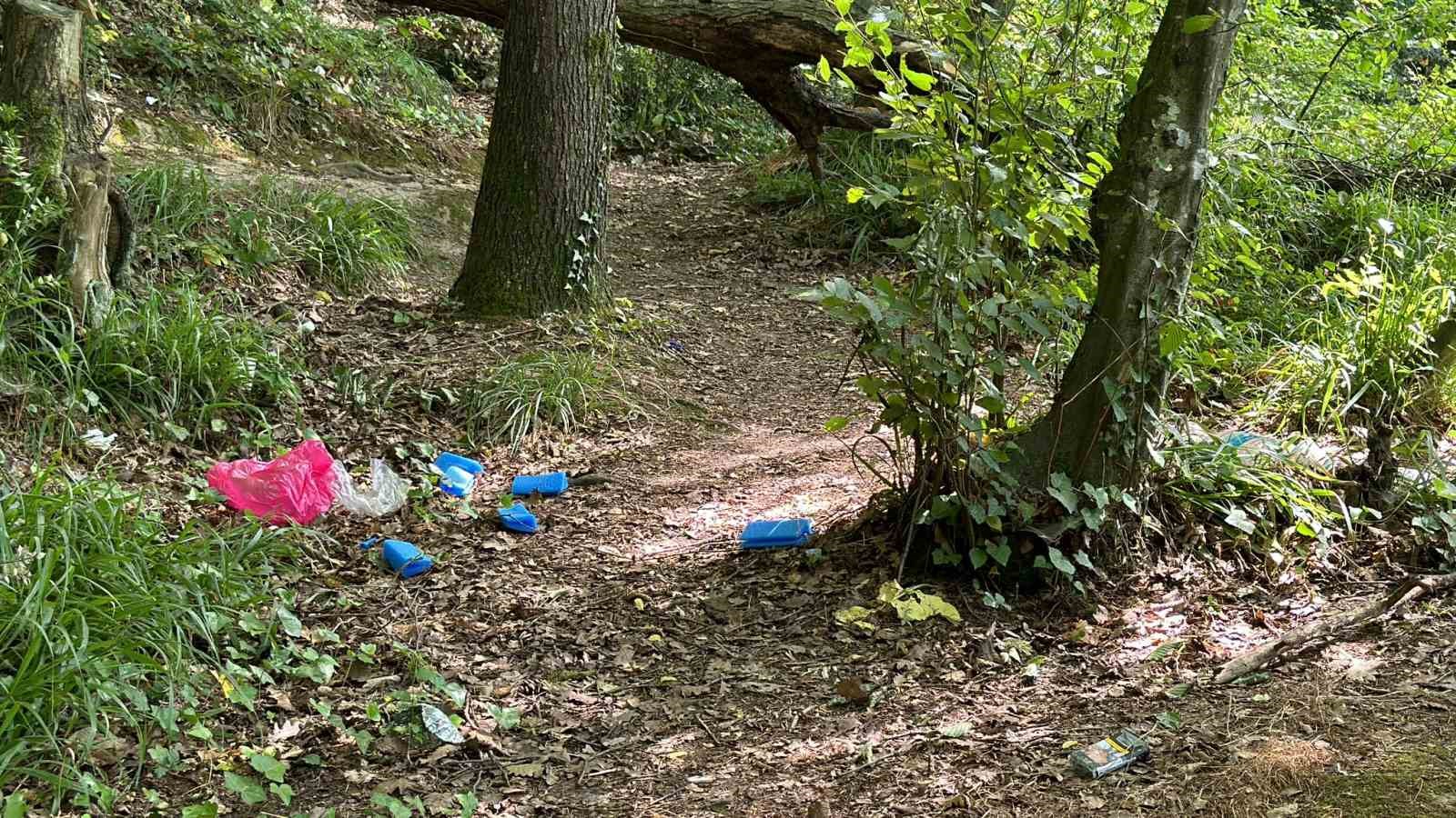 Piknikçiler Belgrad Ormanı’nı çöp yığınına çevirdi
