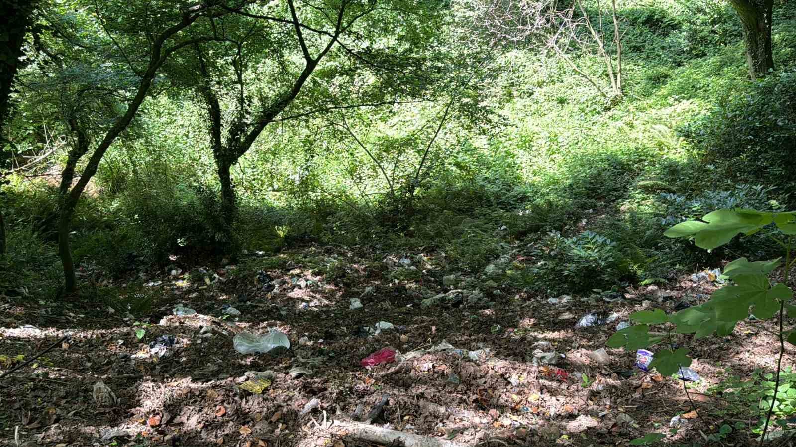 Piknikçiler Belgrad Ormanı’nı çöp yığınına çevirdi
