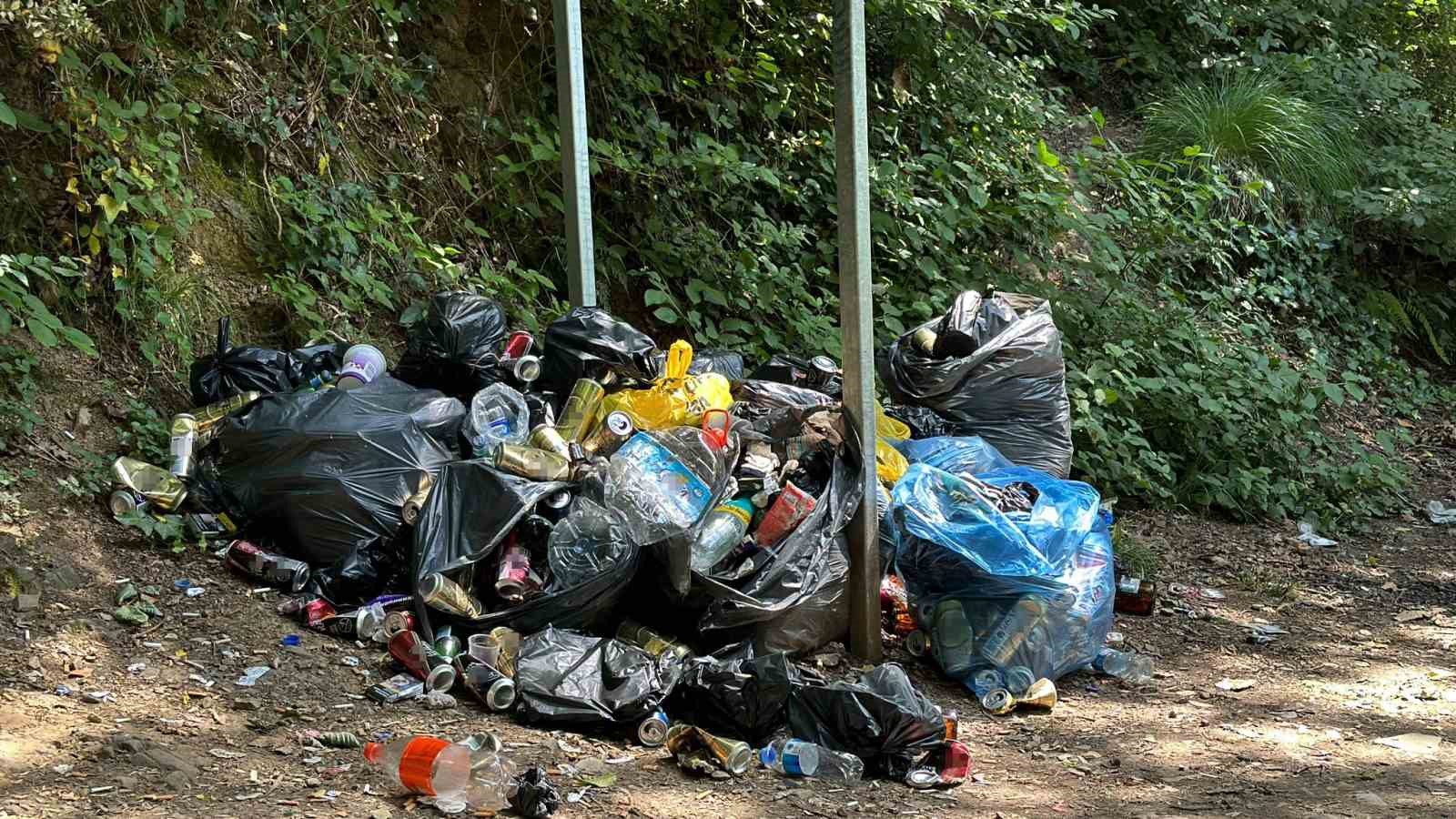 Piknikçiler Belgrad Ormanı’nı çöp yığınına çevirdi
