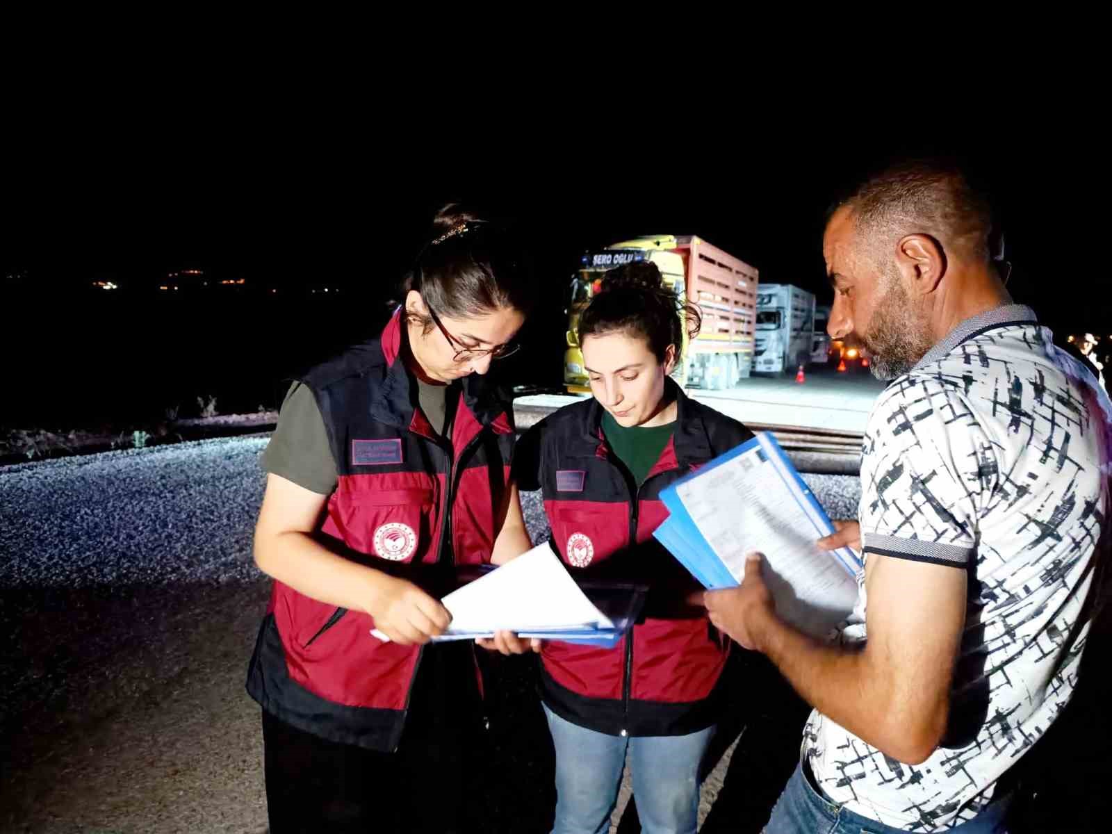 Tunceli’de hayvan sevkiyatına sıkı denetim
