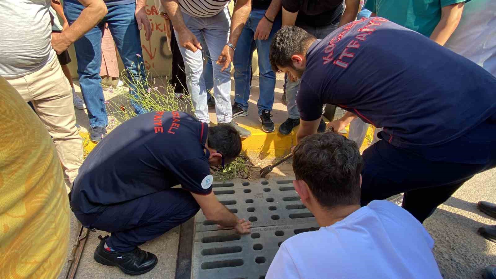 Sınava girecek genç kızın kimliği mazgala düştü
