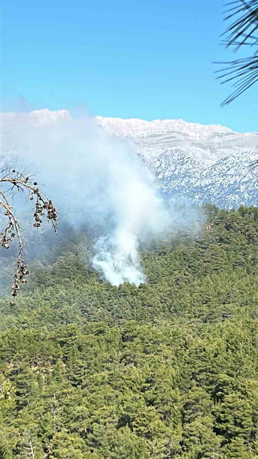 Köprülü Kanyon Milli Parkı’nda yangına müdahale ediliyor
