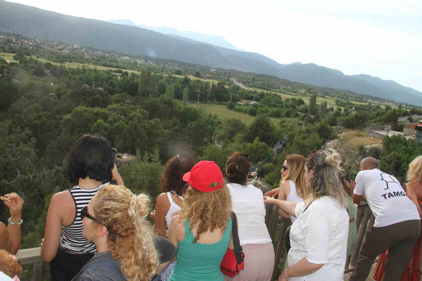 Beyşehir’de leyleklerin mekanları fotoğraf tutkunlarına doğal stüdyo oldu
