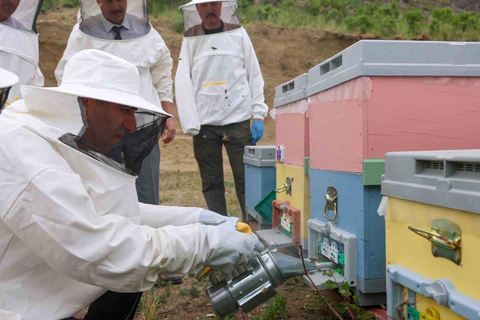 Bilecik’te ‘varroa’ ile topyekûn mücadele
