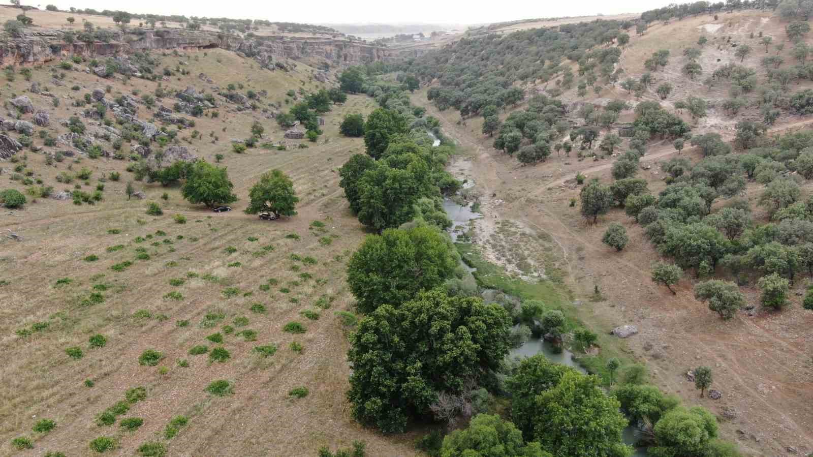 Diyarbakır’da sıcaktan bunalan vatandaşlar sulak ve serin yerleri tercih ediyor
