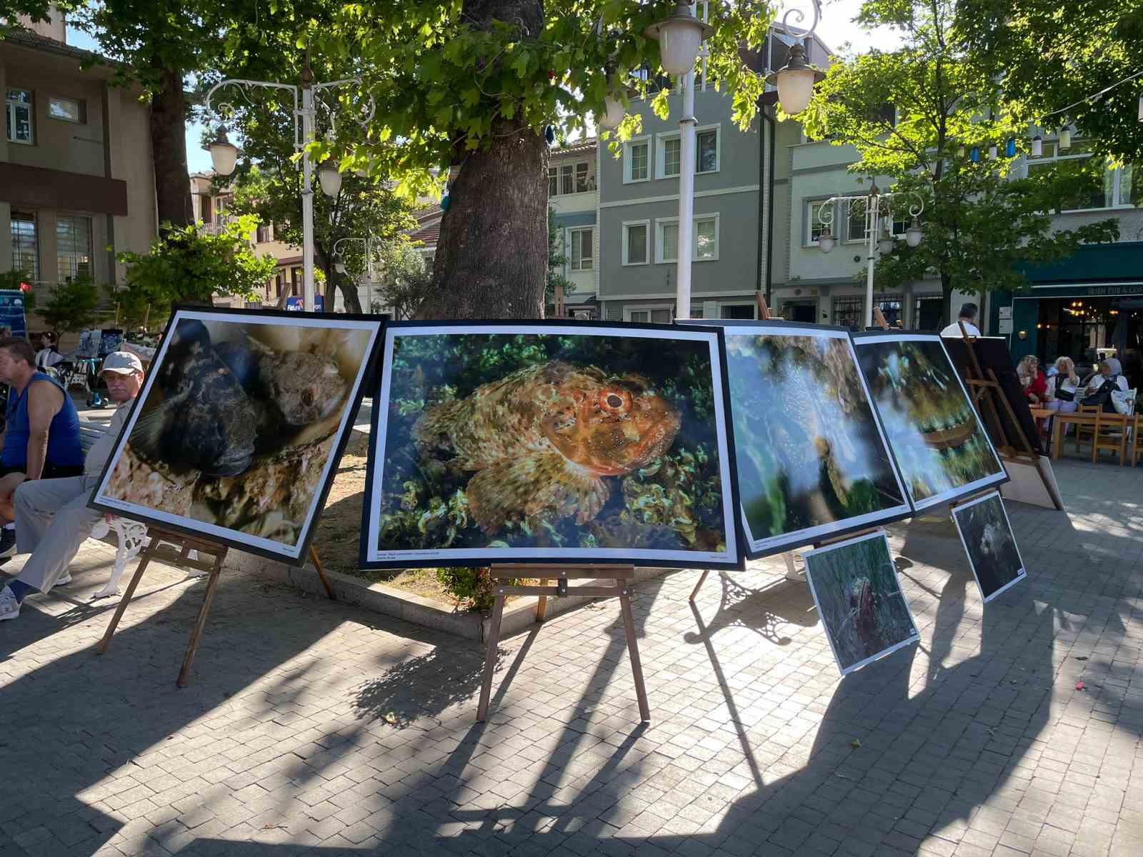 Bursa’da ’Marmara Deniz’ini temiz bırakalım’ etkinliği
