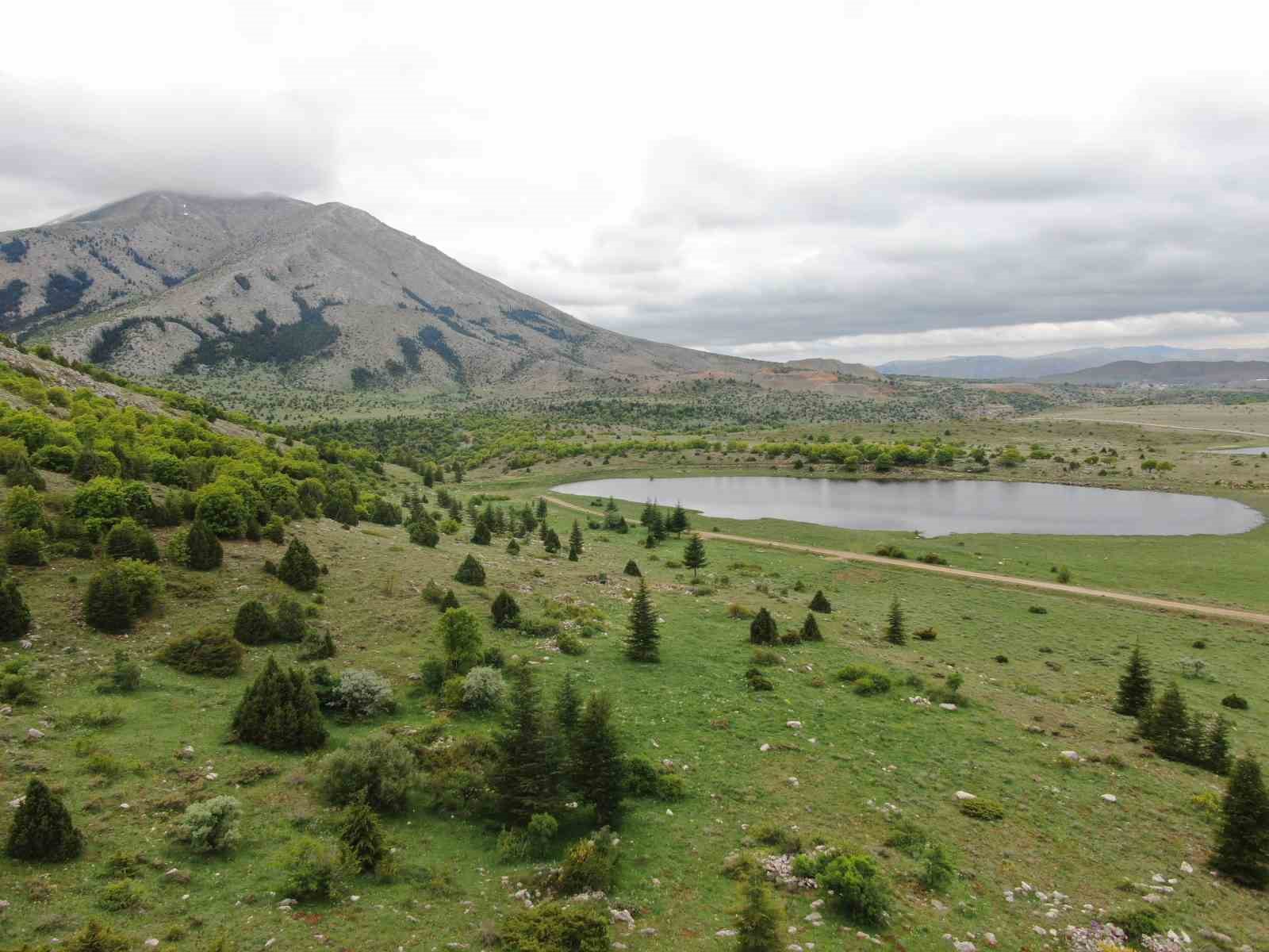 Kayseri’nin Belgrad’ı Berçin Ormanları
