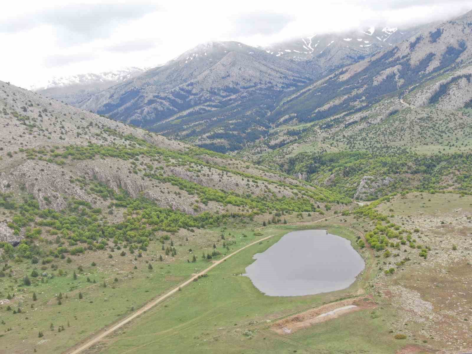 Kayseri’nin Belgrad’ı Berçin Ormanları
