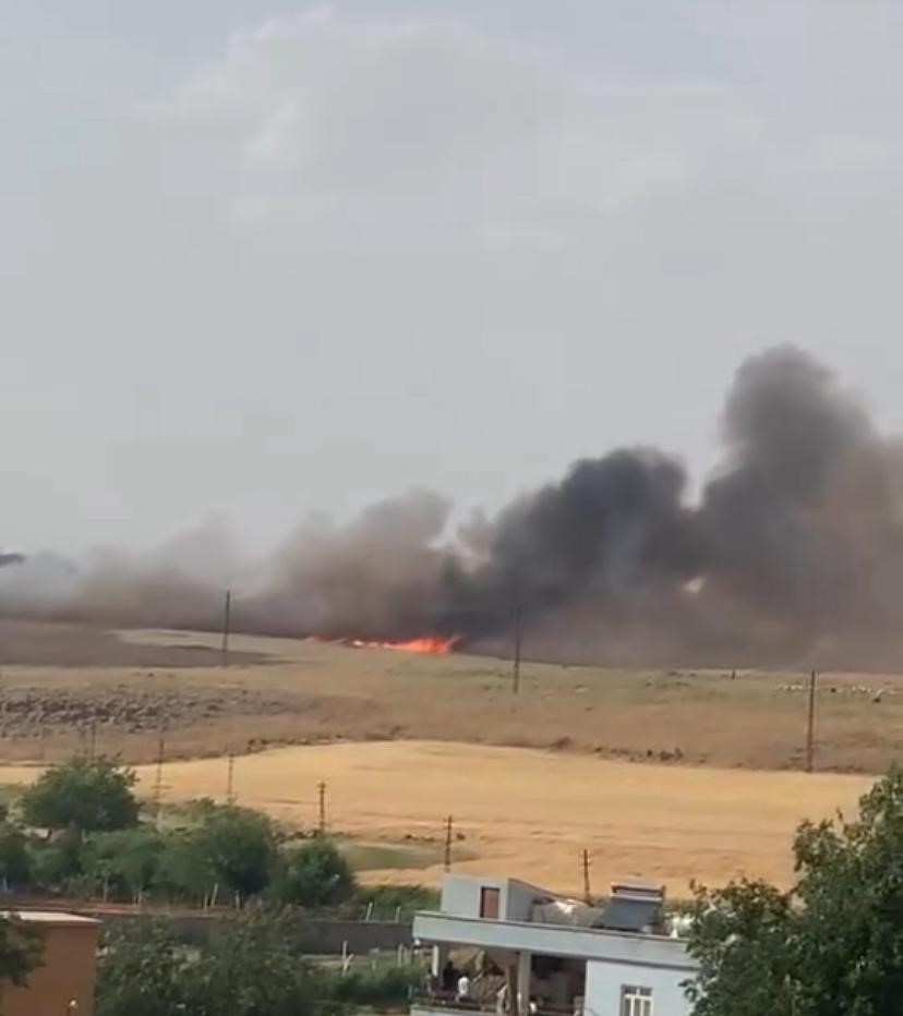 Diyarbakır’da 150 dönüm ekili buğday kül oldu
