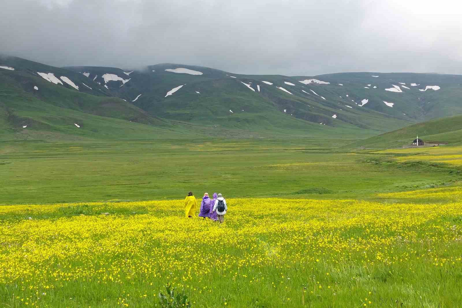 Gümüşhane dağları baharın renklerine büründü
