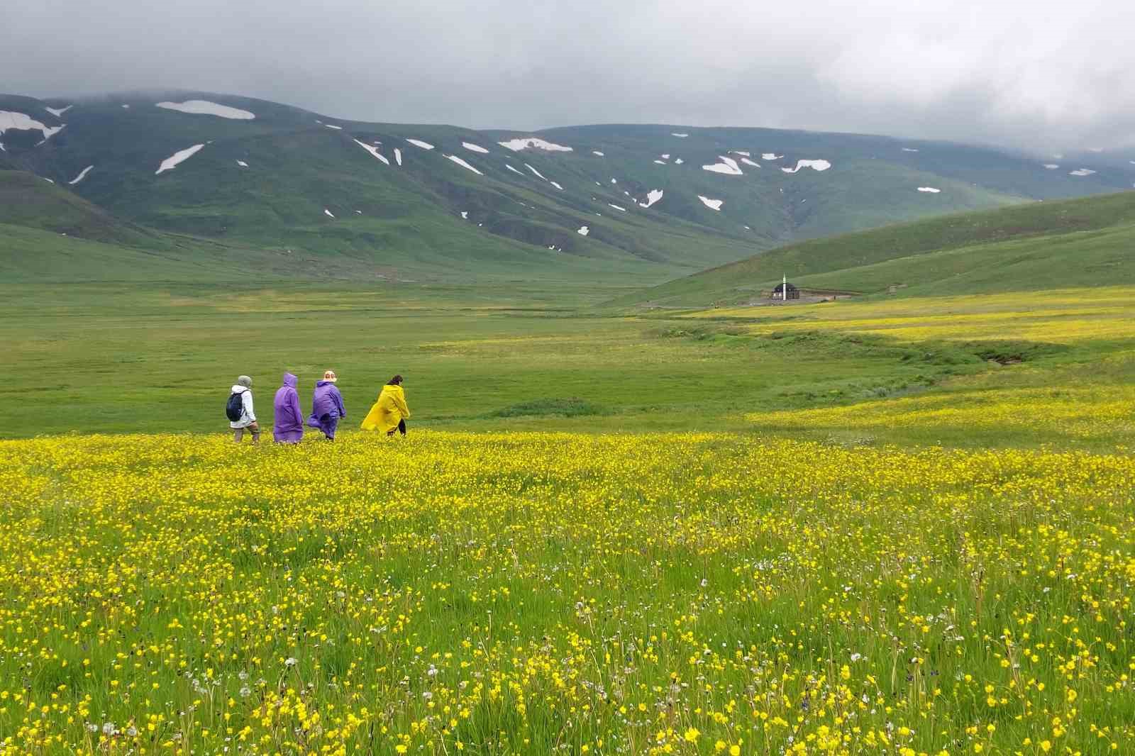 Gümüşhane dağları baharın renklerine büründü
