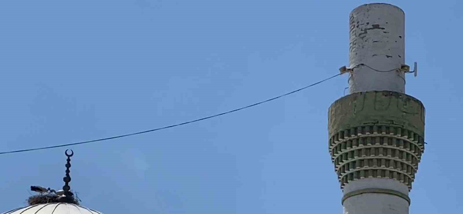 Dolu yağışından kurtulan leylekler mahallelinin tesellisi oldu
