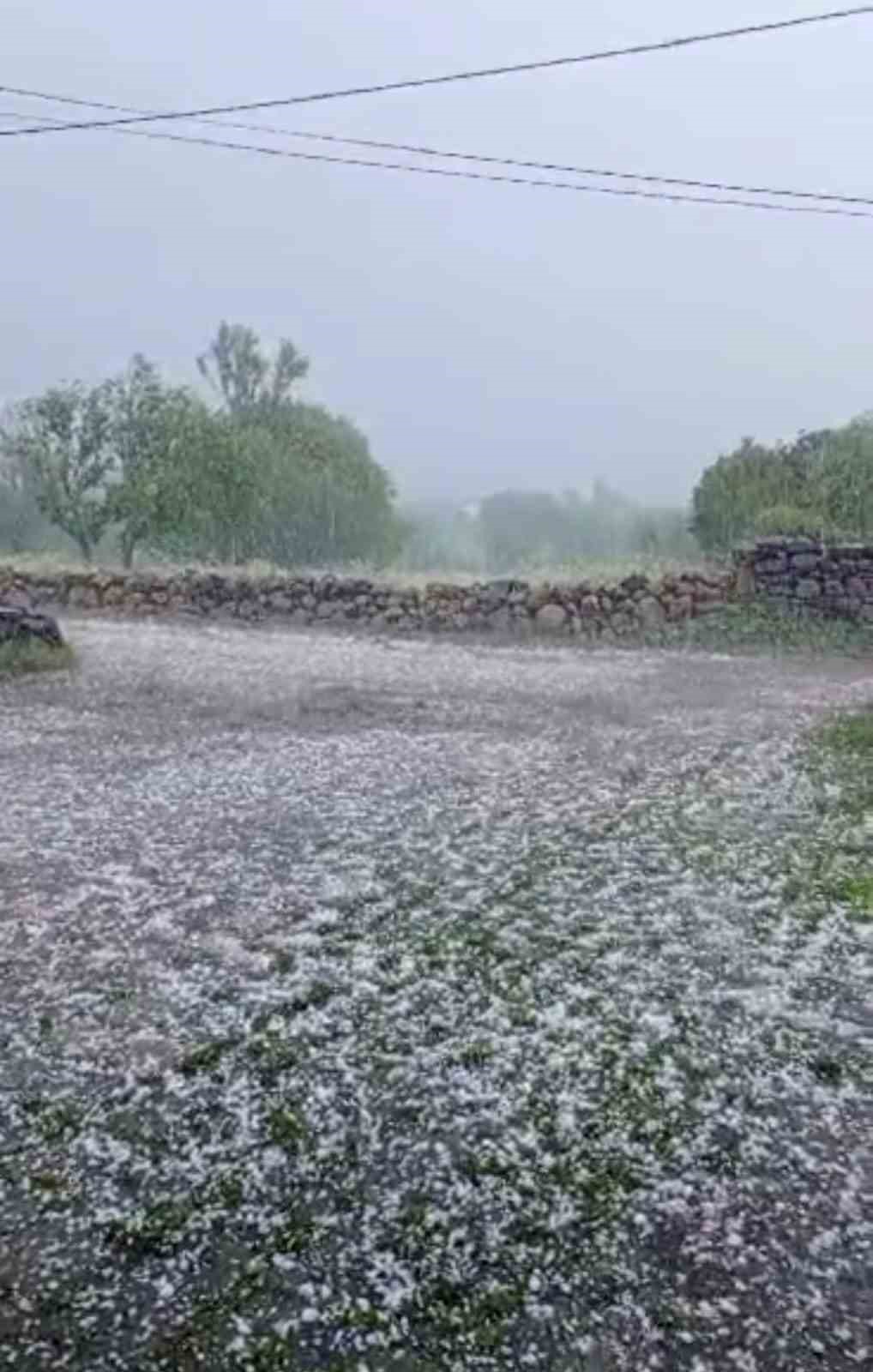 Ceviz büyüklüğünde dolu yağdı, köy beyaza büründü
