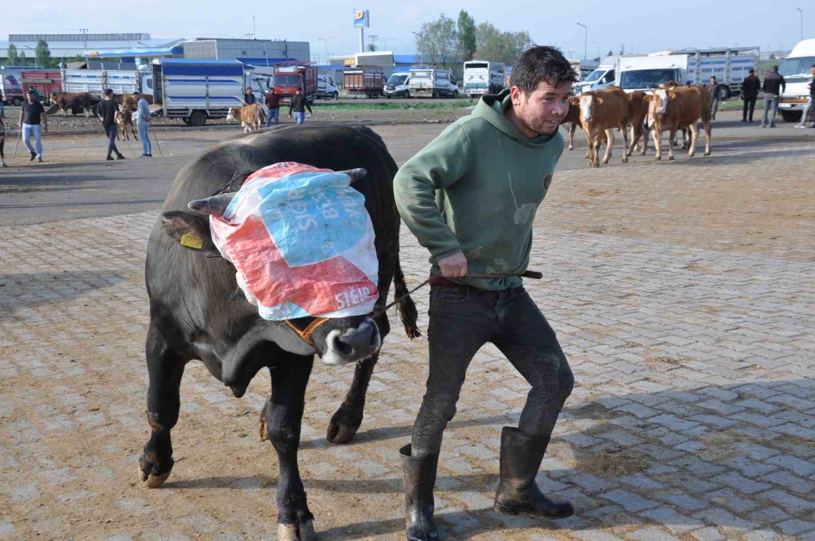 Kars’ta kurban satışları başladı
