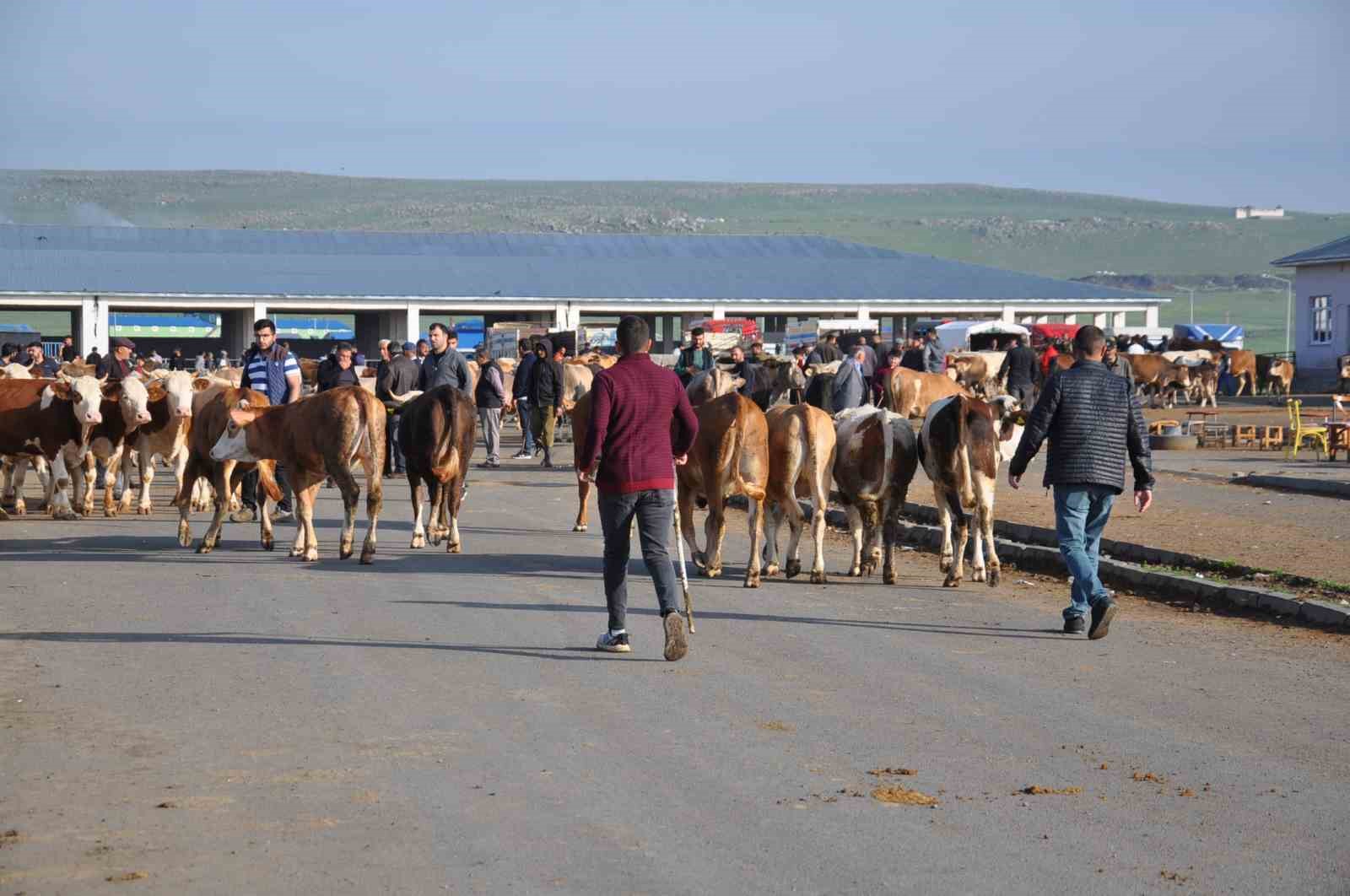 Kars’ta kurban satışları başladı
