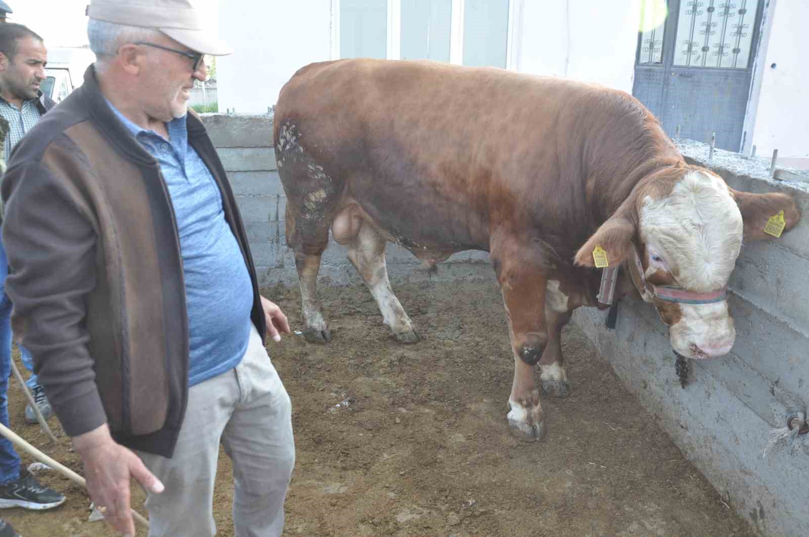 Kars’ta kurban satışları başladı
