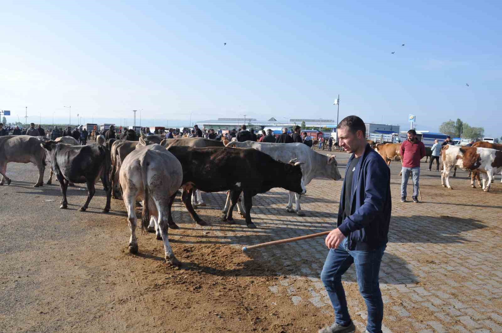 Kars’ta kurban satışları başladı
