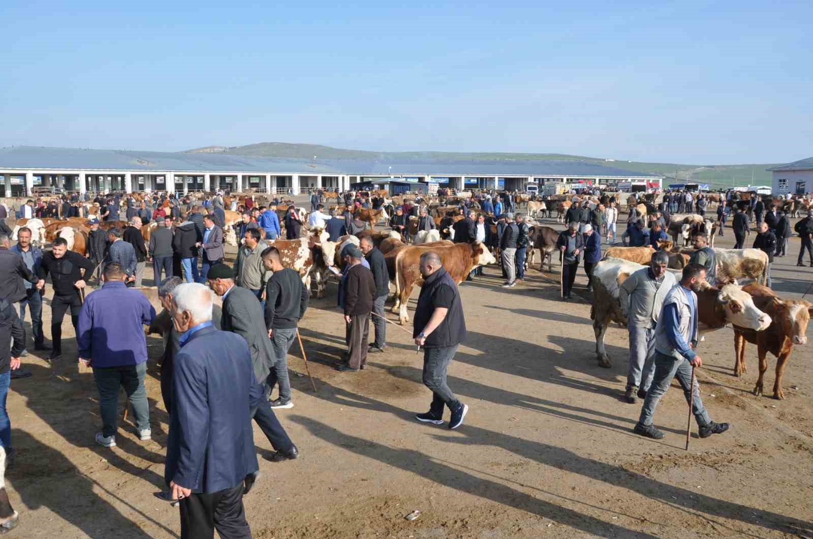 Kars’ta kurban satışları başladı
