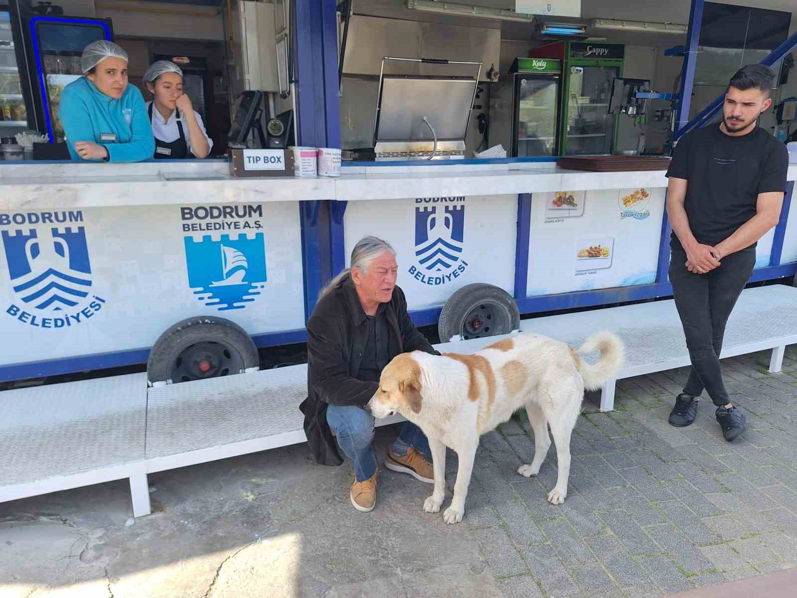 Bodrum’da 3 bin 738 sokak hayvanına müdahale edildi
