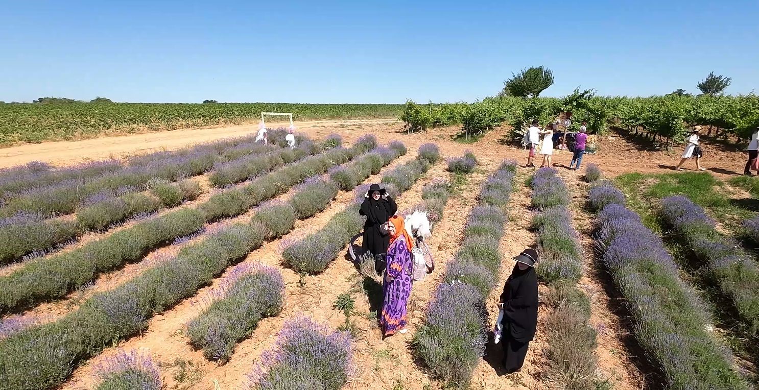 Kırklareli’nde mor turizme ilgi yoğun
