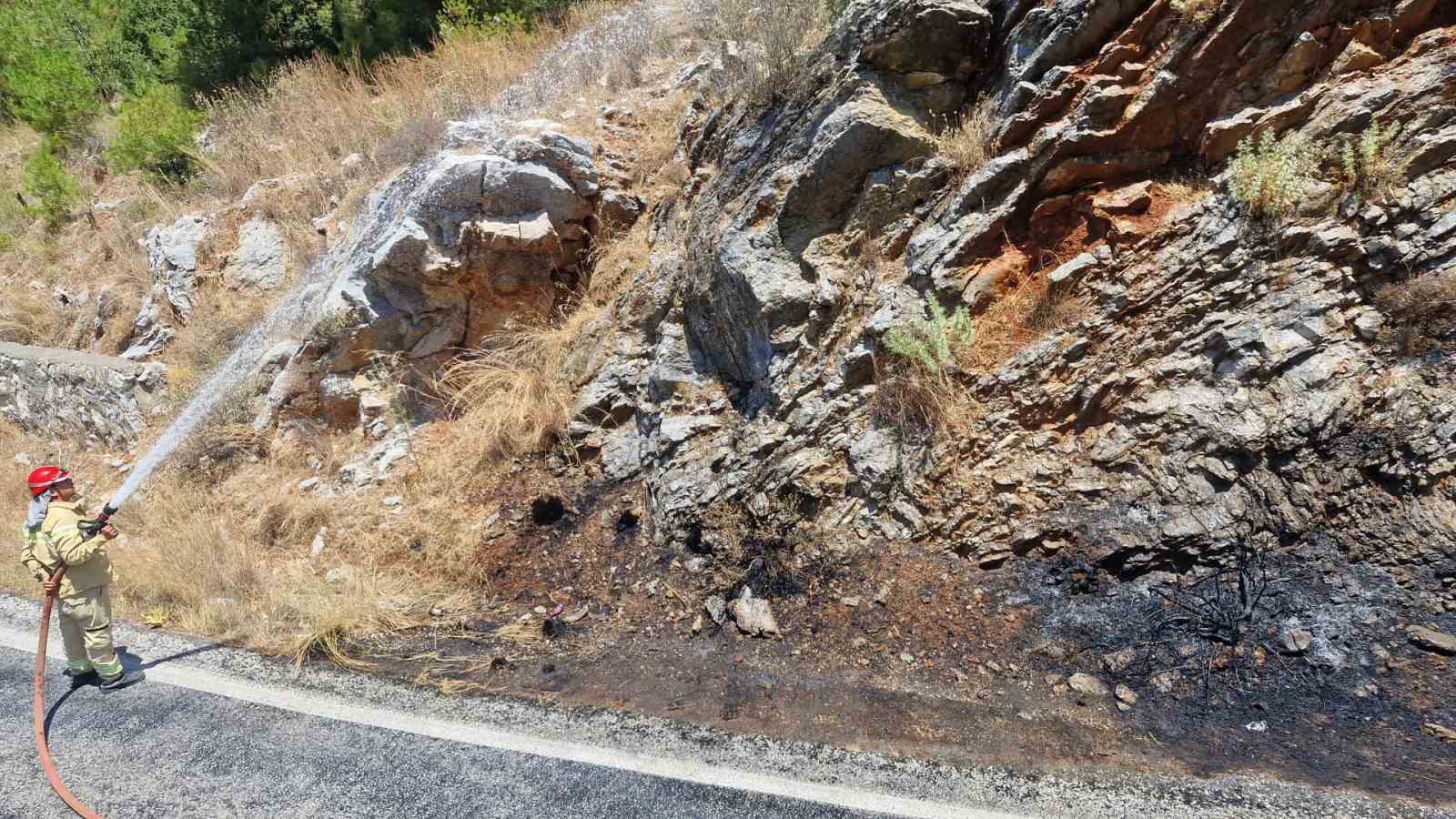 Yol kenarındaki yangın ormana sıçramadan söndürüldü
