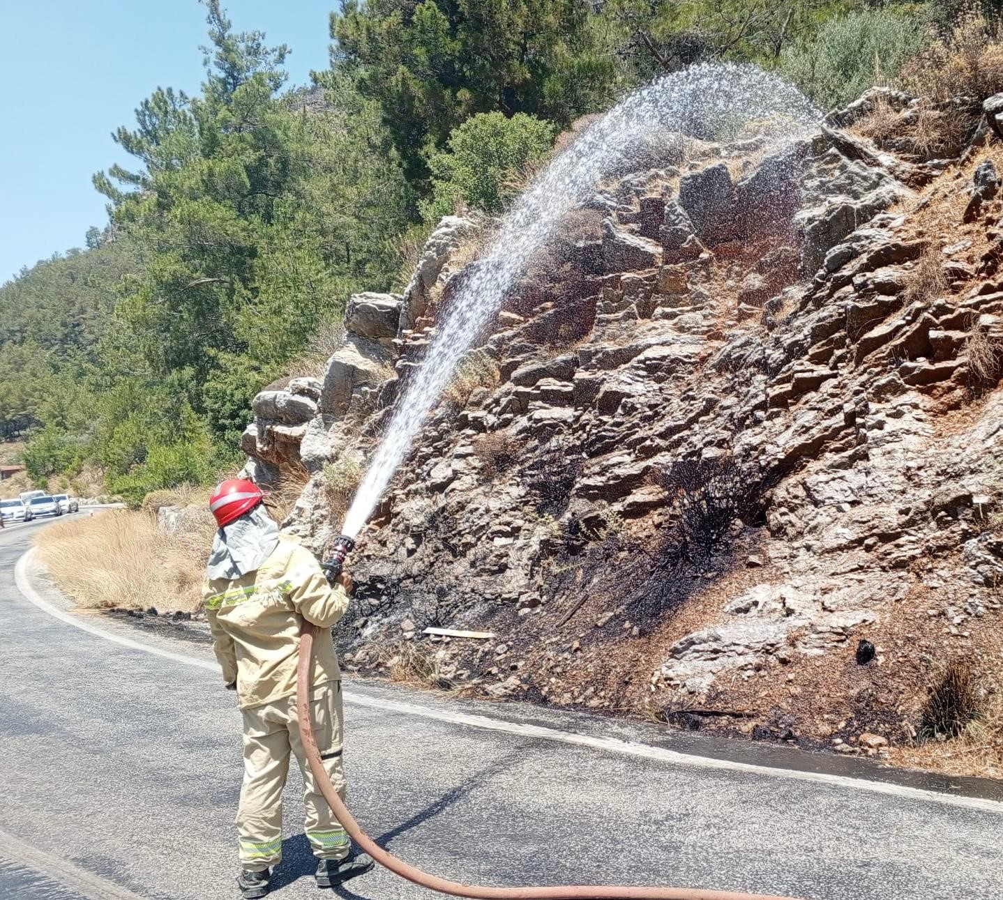 Yol kenarındaki yangın ormana sıçramadan söndürüldü
