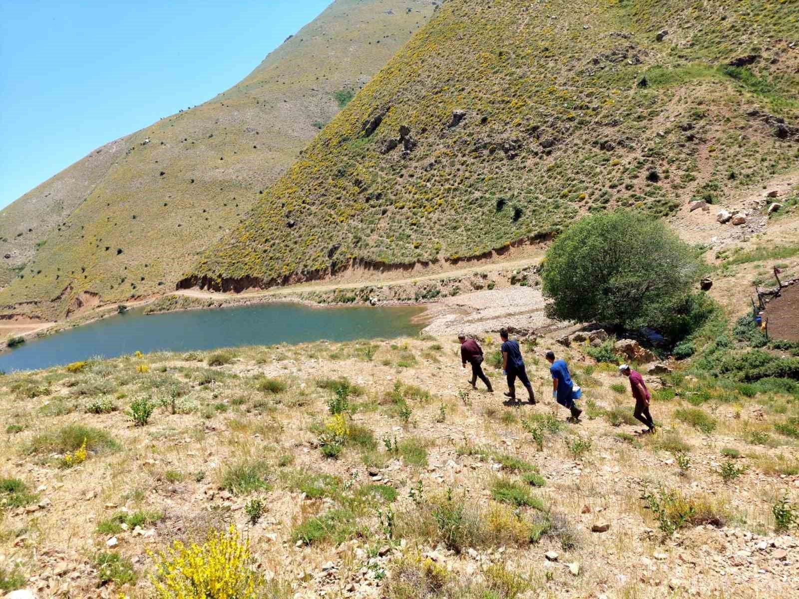 Salihli’de küçükbaş hayvanlar aşılanıyor
