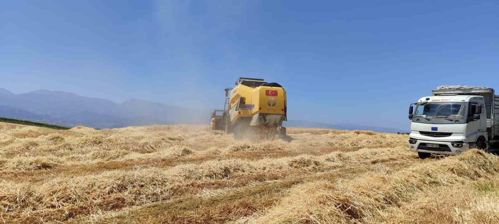 Manisa’da biçerdöverlerin dane kaybına sıkı denetim
