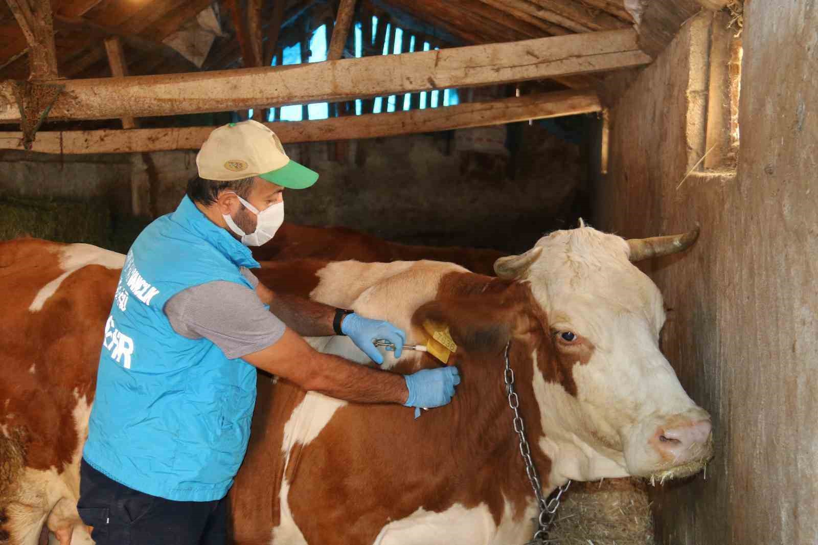 Veteriner hekimlere hayvan hastalıkları ve zararları ile mücadele eğitimi verildi
