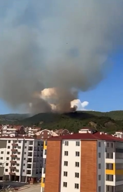 Tokat’ta orman yangını: Ekipler seferber oldu
