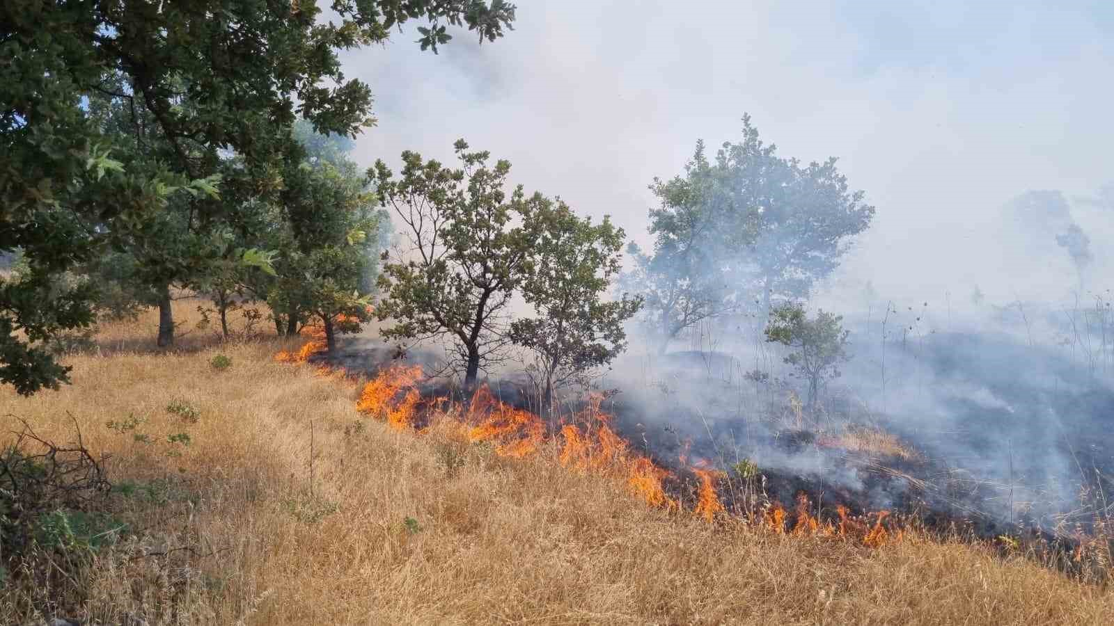 Ormanlık alanı tehdit eden yangına anında müdahale
