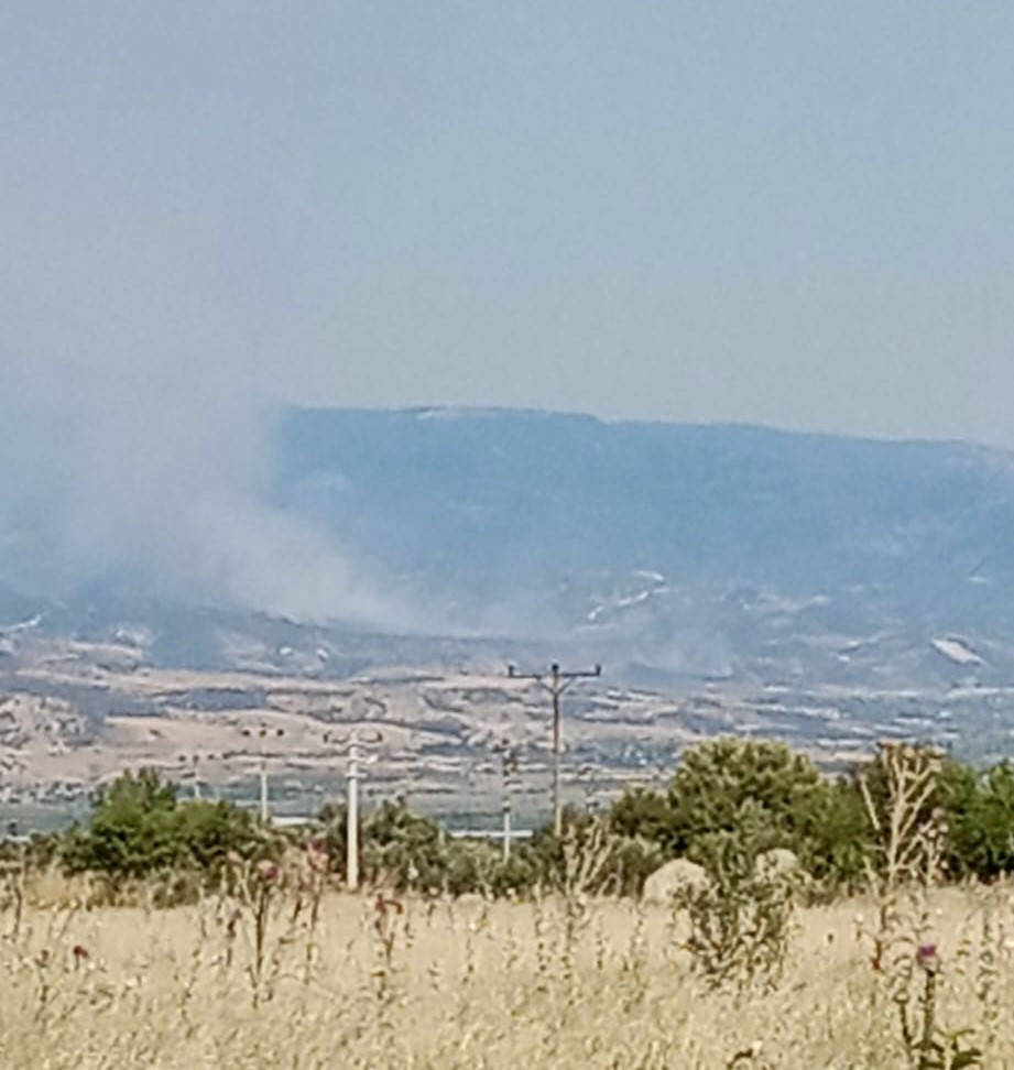 Pamukkale’de orman yangını
